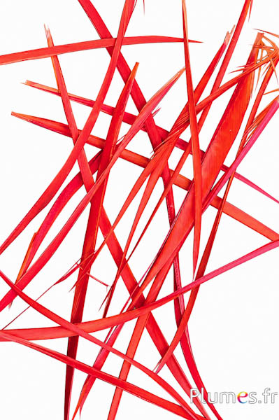 Gans - 10-17 cm - oranje rood